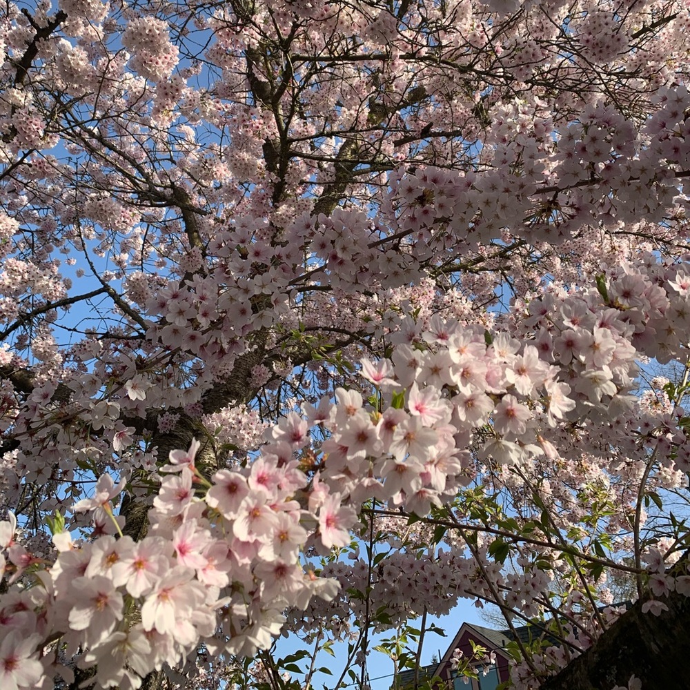 Meet your Posher, Barbara